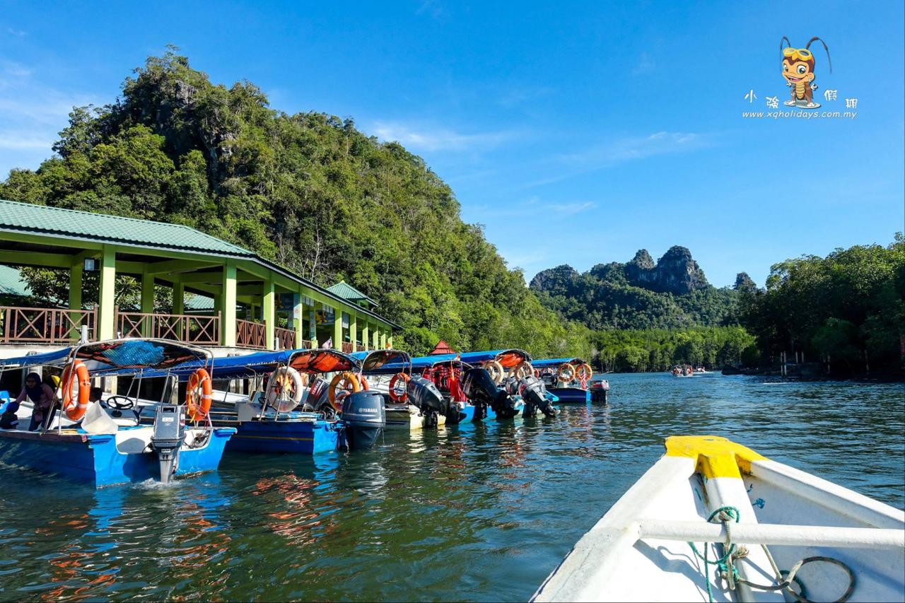 Jelajahi Mangrove Langkawi: Ekspedisi Menakjubkan di Hutan Pesisir yang Menawan